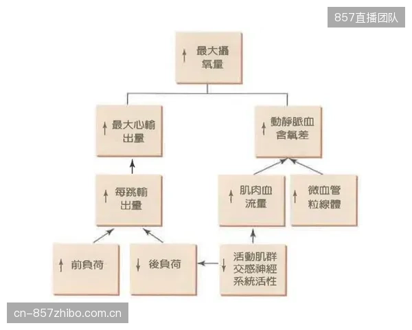 运动表现总监正在主导低氧训练仓的采购决策，但其核心考量已从单纯提升最大摄氧量转向更复杂的投资回报率计算